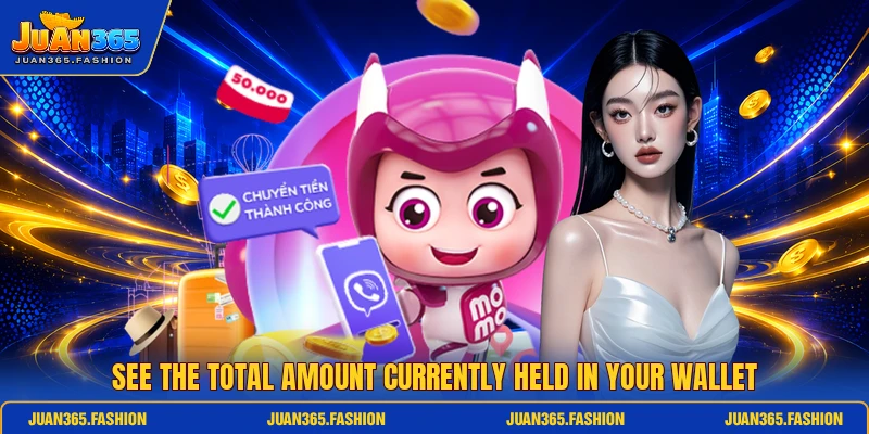 See the total amount currently held in your wallet